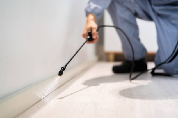 Licensed Pest Control service in St. Vincent College, PA - Show Me Pest Control