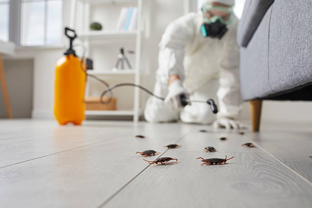 Commercial Kitchen Cockroach Control in St. Vincent College